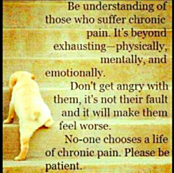 WEN Anti-frizz Styling Cream - Picture 14 of 16